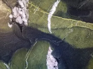 Quartzite Jungle